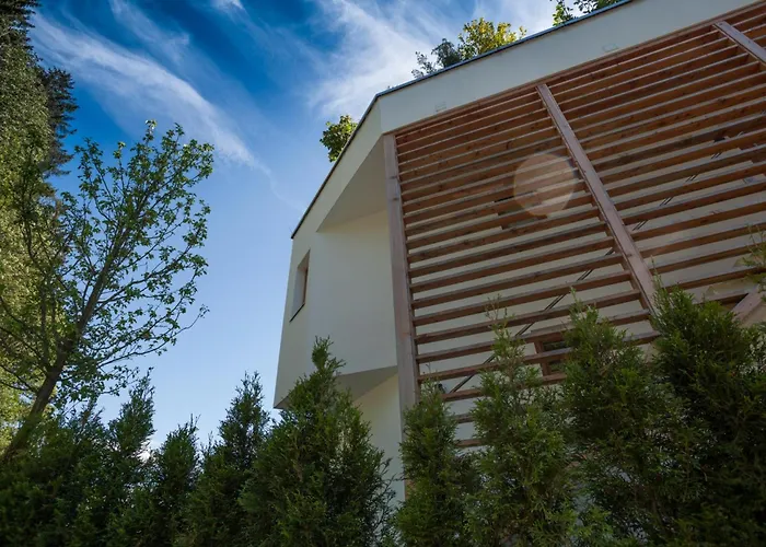 Apartment Kitz 1 Kitzbuhel